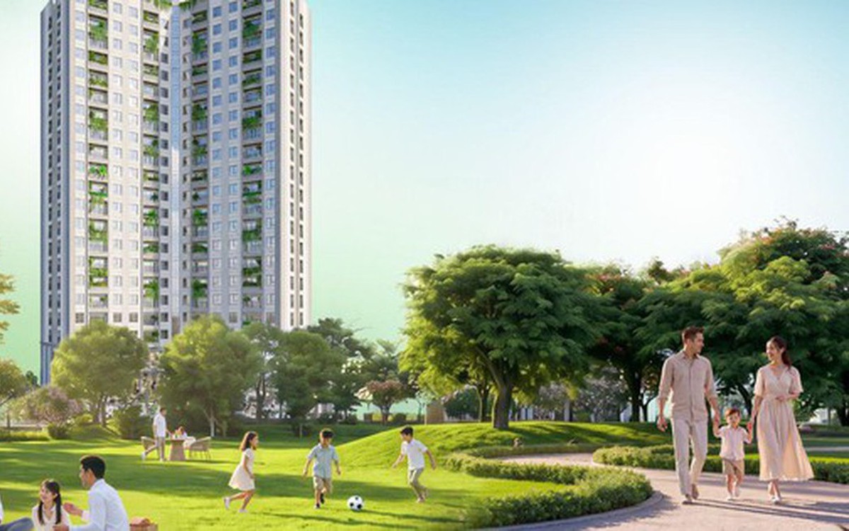 Viha Flora và chuẩn bàn giao hạng A: Giá trị thật nằm ở những chi tiết nhỏ
