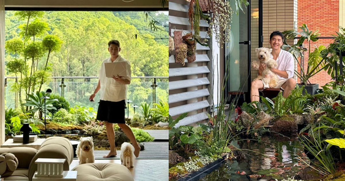 Hồ cá Koi trên ban công, cửa sổ view "4 mùa" của chàng trai lên núi xây nhà sống cùng 4 chú chó