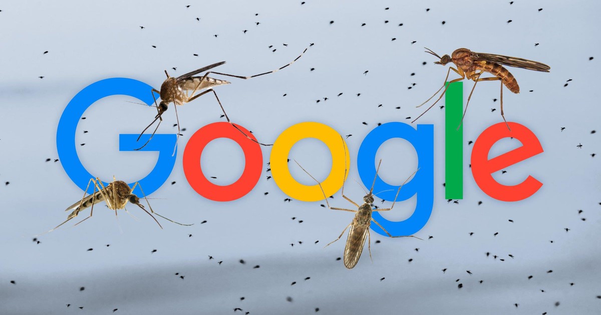 Google muốn thả 32 triệu con muỗi “công nghệ” về rừng: Mục tiêu là gì?