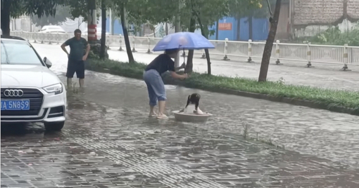 Đoạn clip vài giây trên phố ngày mưa ngập khiến hàng ngàn người ghen tỵ: Thật là 1 đứa trẻ GIÀU CÓ!