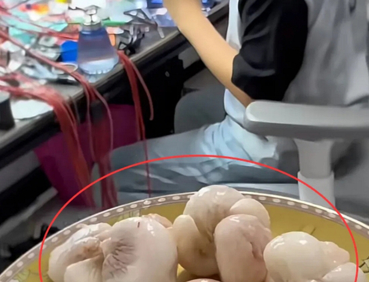 Đĩa măng cụt đang khiến 1 gia đình thành tâm điểm MXH: Kiểu yêu thương con này có phải ngột ngạt quá rồi không?