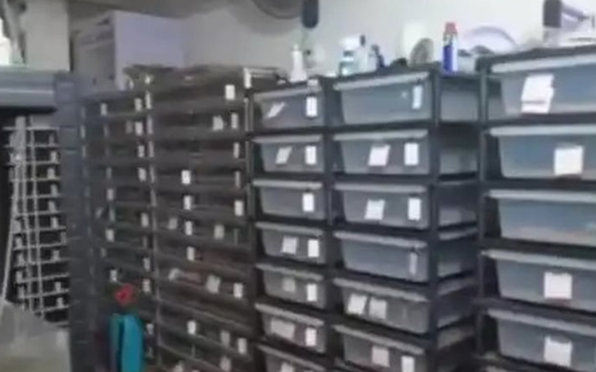 Phát hiện một căn hộ có lượng điện tiêu thụ nhiều bất thường, cảnh sát ập vào, chứng kiến cảnh tượng rùng mình