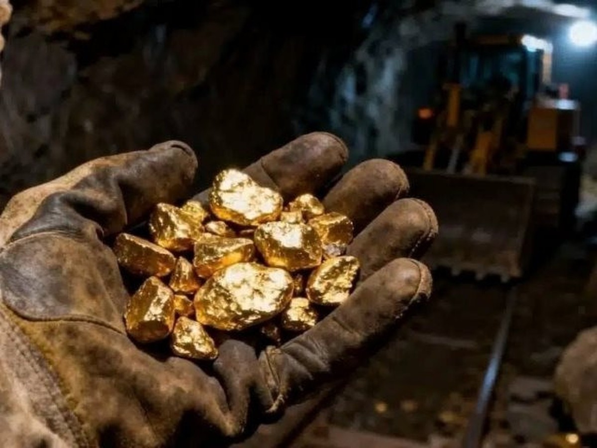Đại gia đào vàng lớn nhất Việt Nam sắp trả cổ tức tỷ lệ 90,5%
