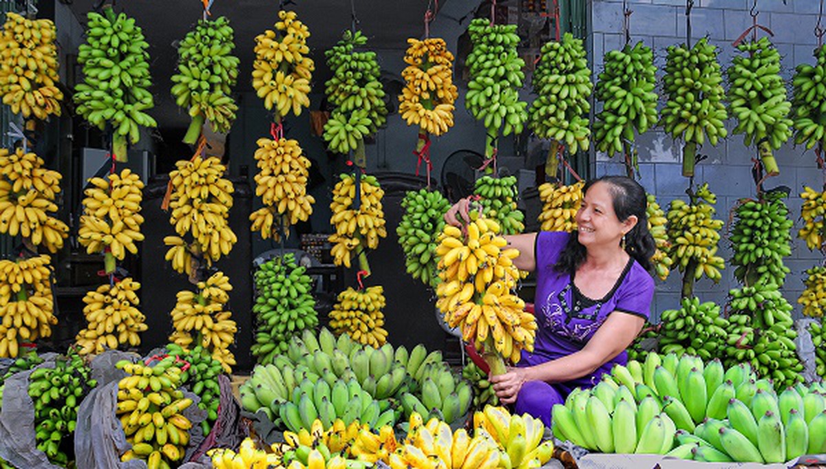 Loại quả ngon nhất thế giới của Việt Nam: Chỉ có ở Ninh Bình, vào mùa là hết sạch, phải đặt trước mới có