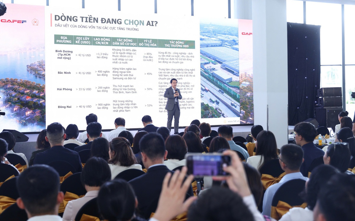 CEO FIDT: Bất động sản bắt đầu hướng về các cực tăng trưởng, đô thị vệ tinh, không còn chạy theo vùng ven đầu cơ