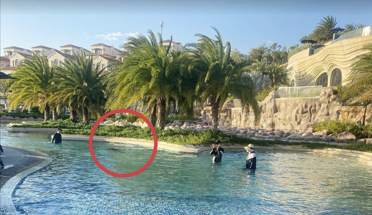 Phục hồi điều tra vụ bé 11 tuổi người Nhật tử vong ở hồ bơi tại resort
