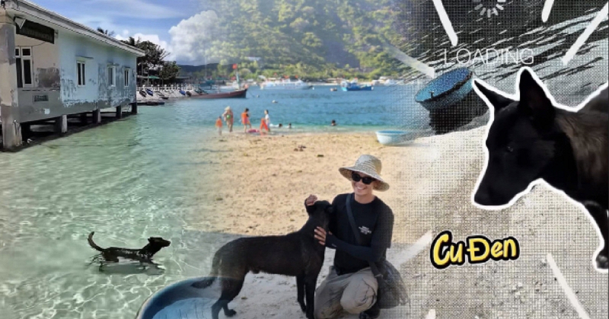 Có một "nhân viên" ai đến đảo Bích Đầm cũng muốn gặp: Da rám nắng, ngày nào cũng đi tuần bãi biển