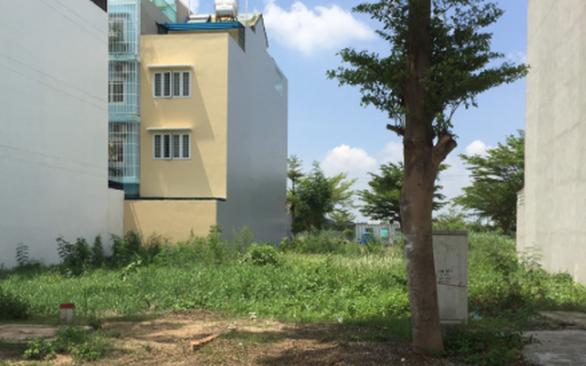 Tôi vô tình biết được bố mẹ chồng đã bán đất từ nhiều tháng trước, lý do nực cười là... vì tôi