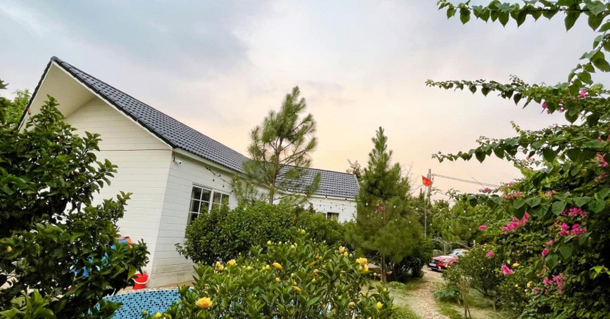 Nam nghệ sĩ Việt sở hữu nhà vườn rộng 1.000m²: Nhìn đâu cũng thấy hoa, góc nào cũng chill như tranh vẽ