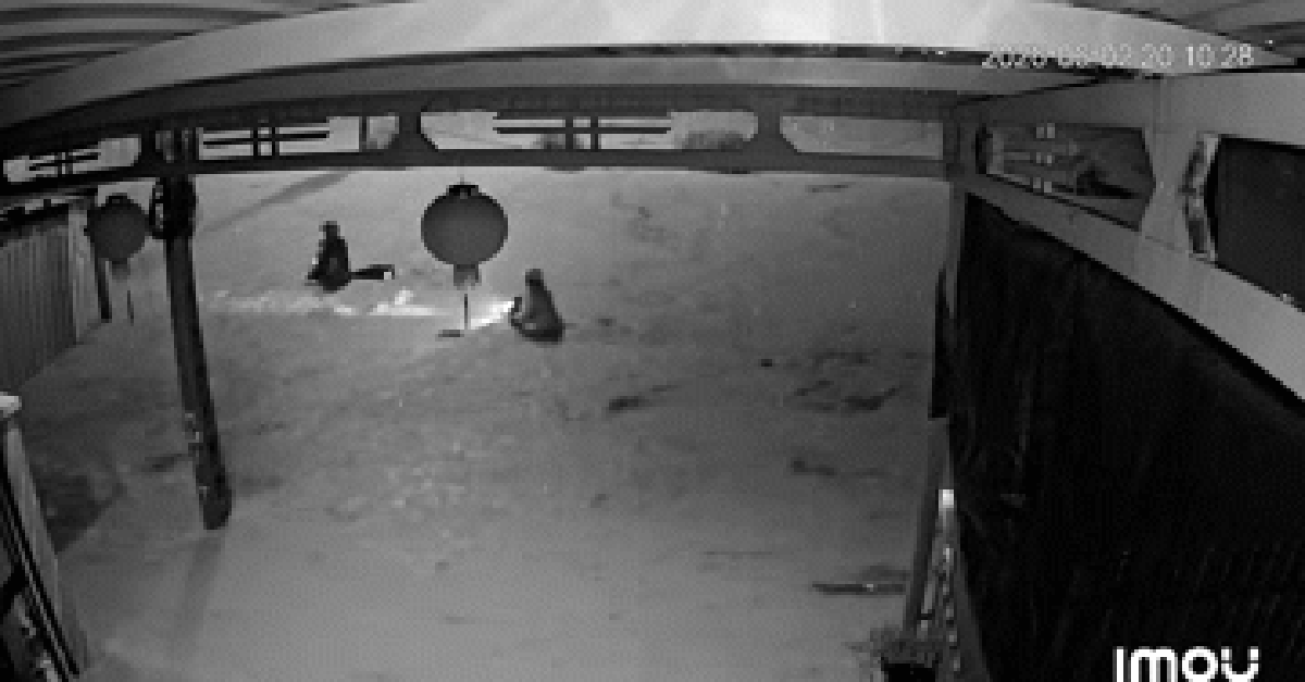 3 người phụ nữ bị nước cuốn trôi trong cơn mưa lớn đã được cứu: Camera ghi lại những gì?