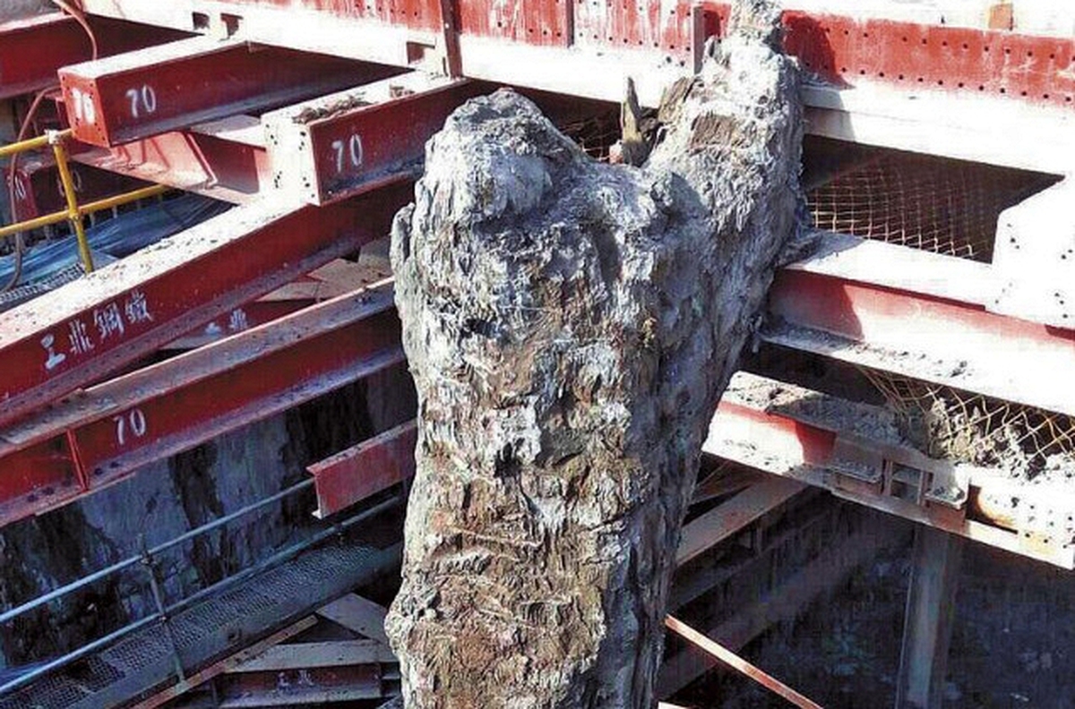 Đào sâu 30m dưới lớp nước ngầm, phát hiện vật thể “tỏa mùi thơm” dài 35m: Công trường lập tức bị phong tỏa