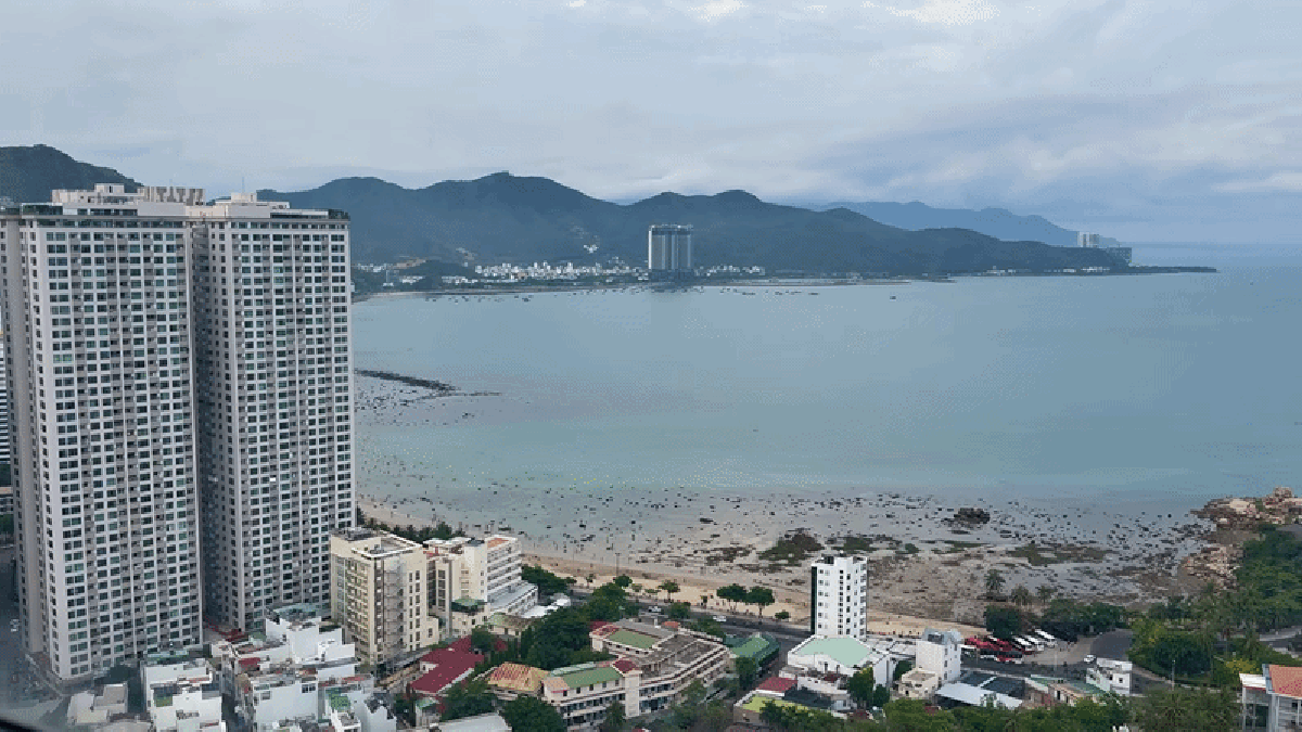 Cảnh tượng ở bãi biển Nha Trang khiến nhiều người bất ngờ, nhận xét: Không tin vào mắt mình