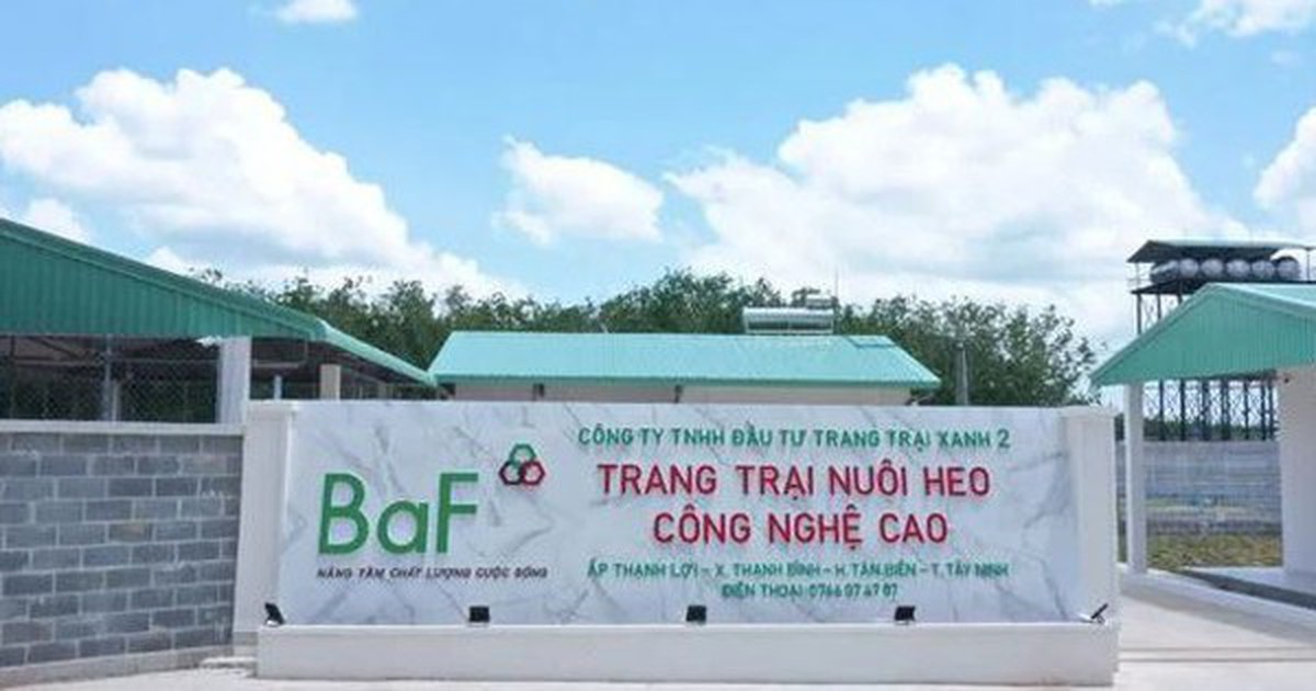 Baf Việt Nam chốt quyền nhận cổ phiếu thưởng và cổ tức tổng tỷ lệ 20%