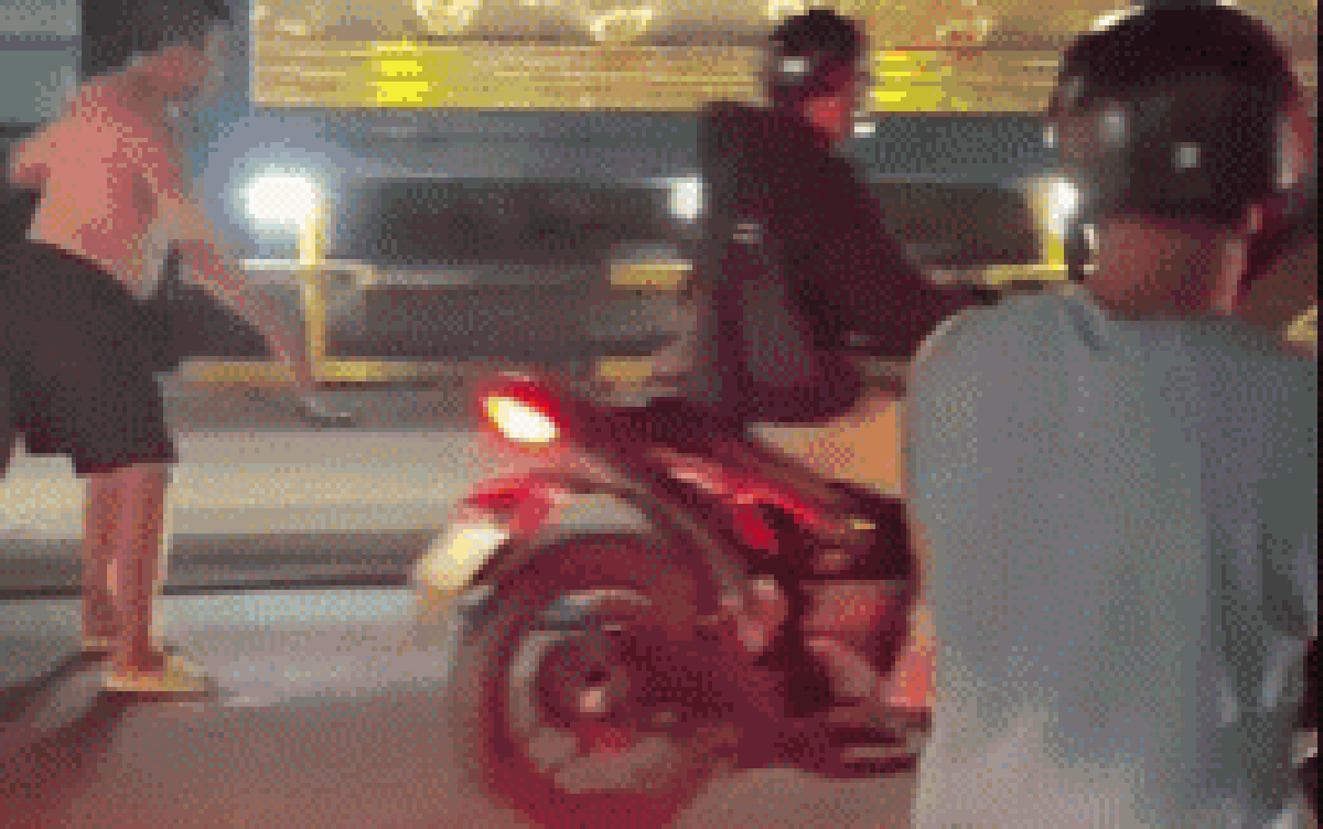 Cá sấu bò, trườn "dạo chơi" trên phố khiến nhiều người hoảng sợ: 17 giây khiến MXH tò mò