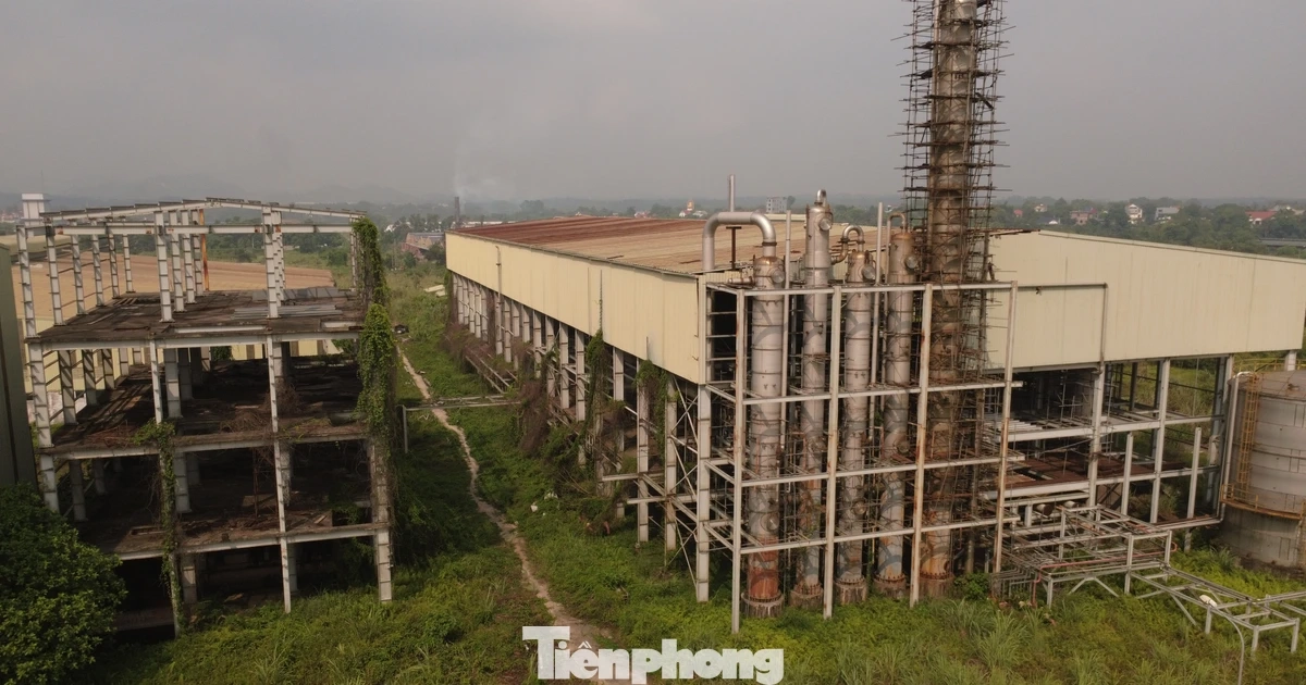Tận thấy nhà máy Ethanol Phú Thọ "đắp chiếu" suốt 17 năm