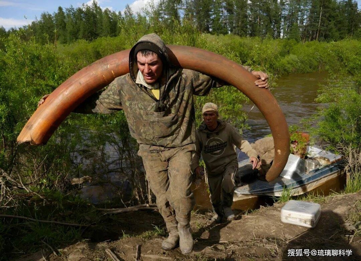 Bí ẩn rùng rợn đằng sau cơn sốt săn lùng xác voi ma mút Siberia