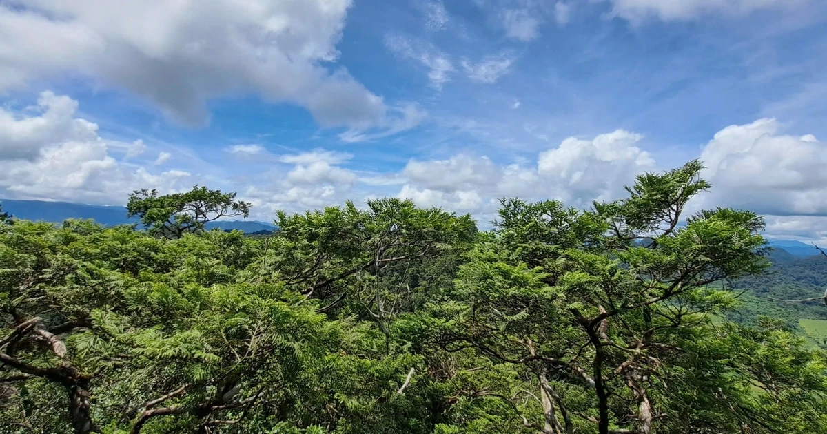 Phong Nha - Kẻ Bàng được công nhận là Khu Dự trữ sinh quyển thế giới
