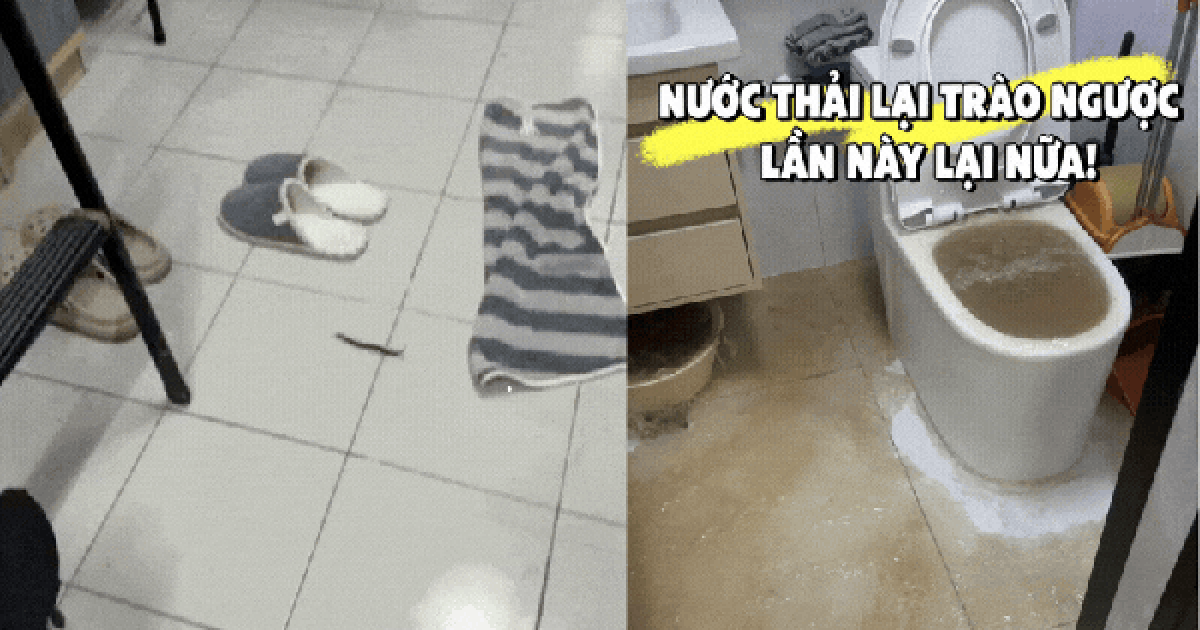 Tôi thà mua căn hộ tầng 4, 14 hay 18 còn hơn chọn 3 tầng này: Chuyển vào ở mới thấy “ác mộng” bắt đầu