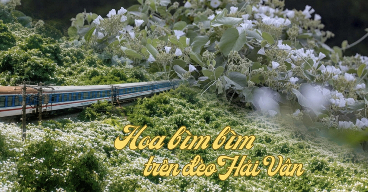 Việt Nam có cung đường đang xảy ra hiện tượng "tuyết mùa hè" phủ trắng đèo đẹp như phim