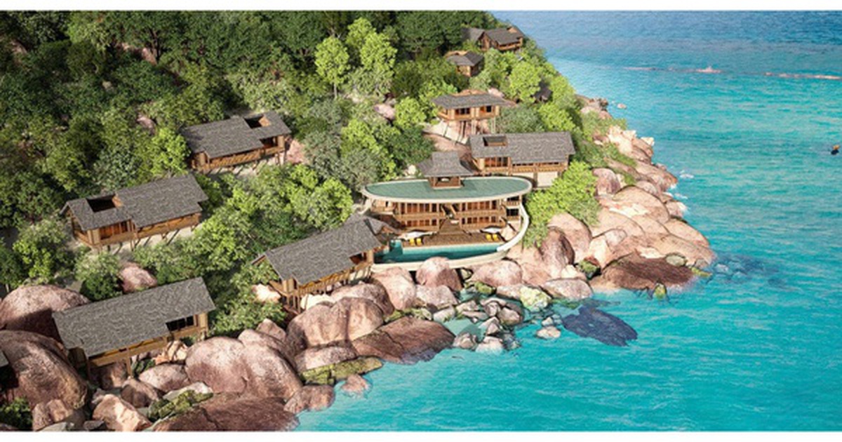 Ninh Vân Bay thay Tổng Giám đốc