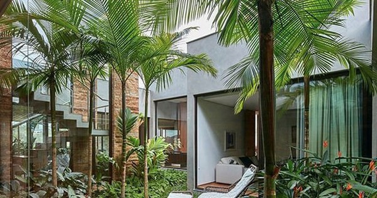 Vì sao người xưa dạy trồng "cau trước, chuối sau"?