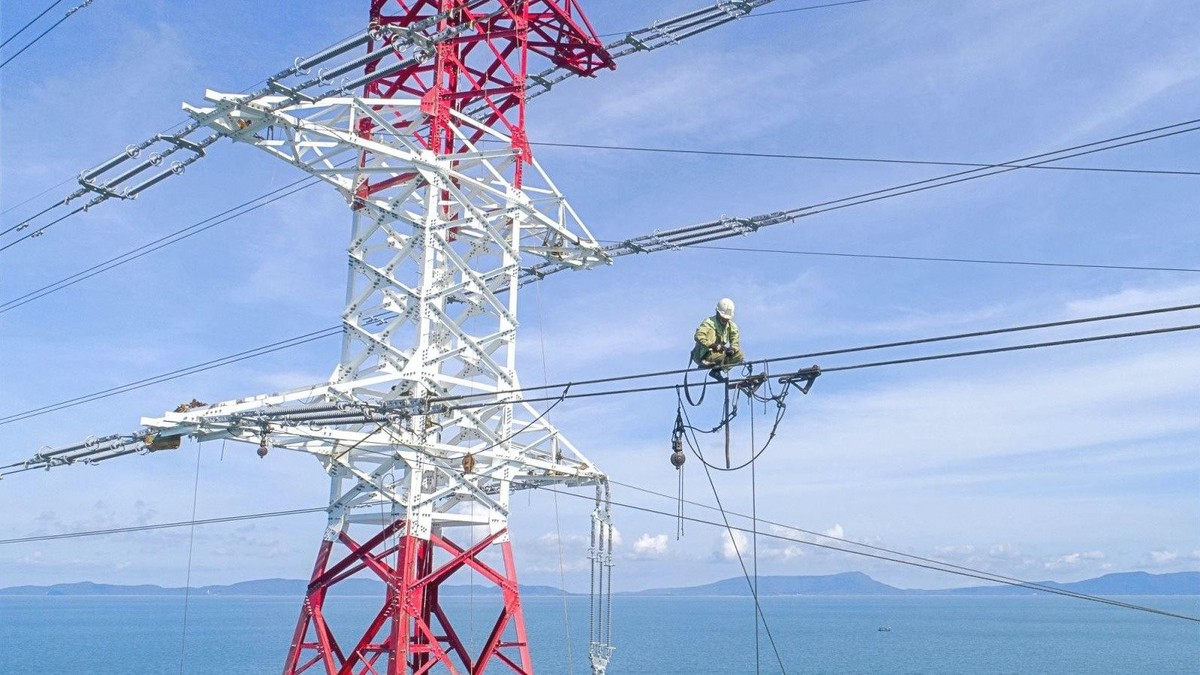 Một công ty con của EVN bị cả 4 Công ty Big4 từ chối kiểm toán sau khi Chủ tịch HĐQT bị khởi tố