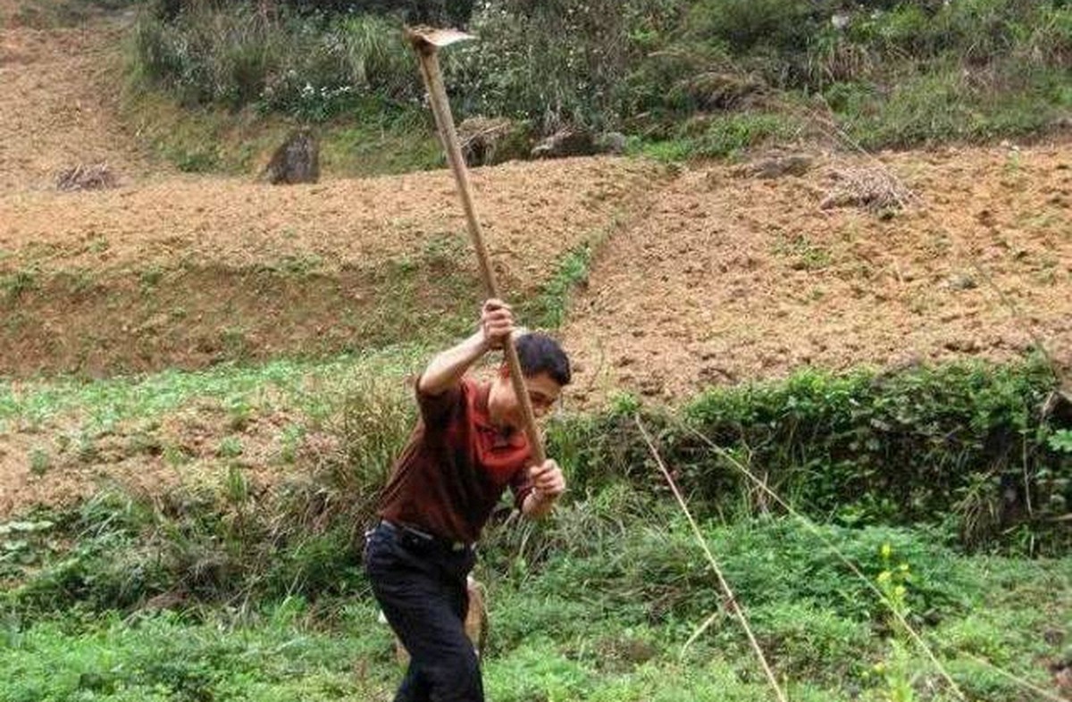 Đào đất, người dân phát hiện khối đá có hình thù kỳ lạ, chuyên gia xác nhận báu vật 1.400 năm tuổi