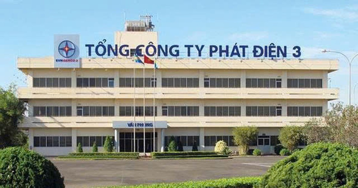 EVNGenco3 trả cổ tức năm 2025 bằng tiền tỷ lệ 10%