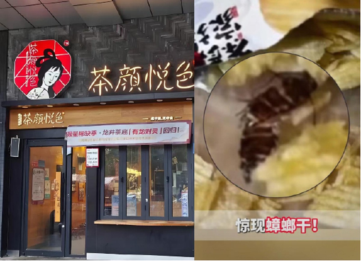 Con gián trong gói khoai tây 9.000 đồng và sai lầm khiến thương hiệu trà sữa hot hit xứ Trung tự thổi bùng khủng hoảng
