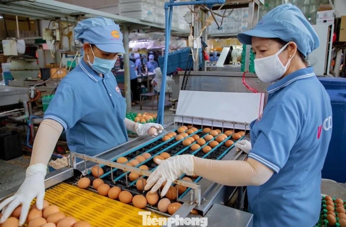 Doanh nghiệp lao đao vì lãi vay neo cao