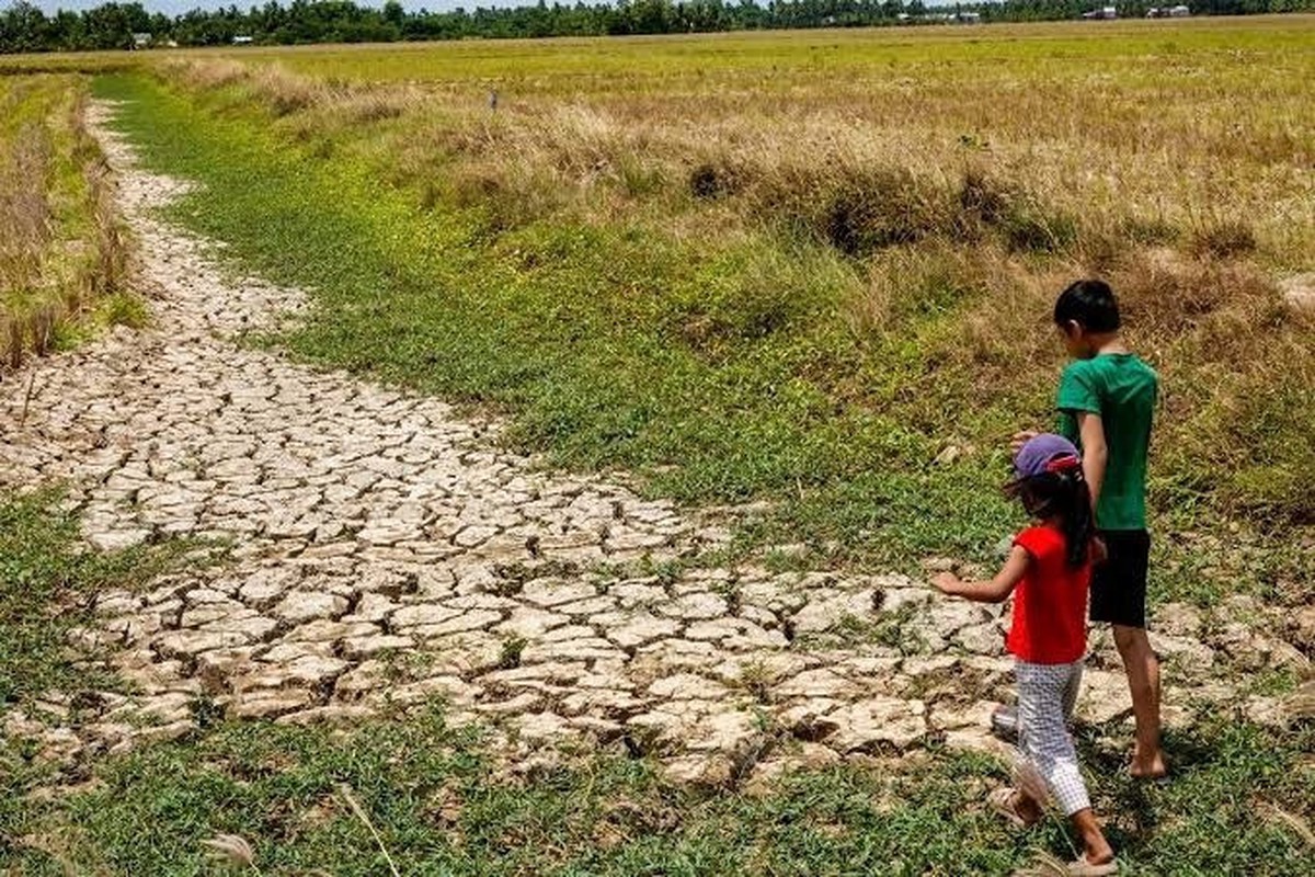 Gã khổng lồ ngành điện dự báo nhận được 1.600 tỷ "từ trên trời rơi xuống"