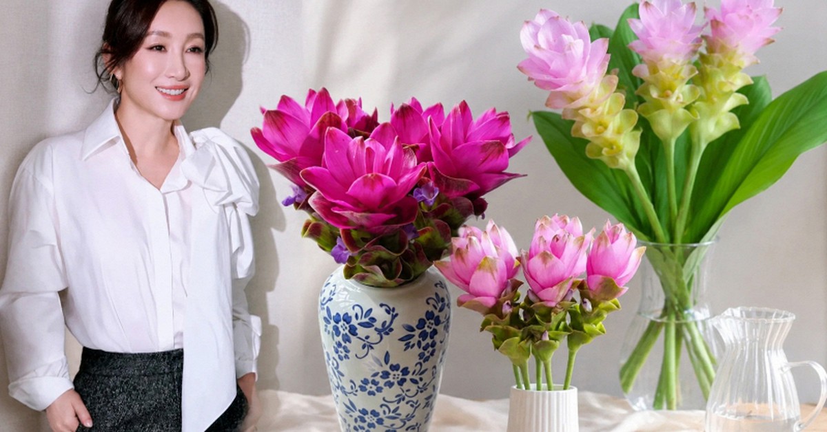Loài hoa được mệnh danh "hoa sen nhiệt đới" đang gây sốt: Cắm cả tháng vẫn đẹp, càng ngắm càng thấy bình yên
