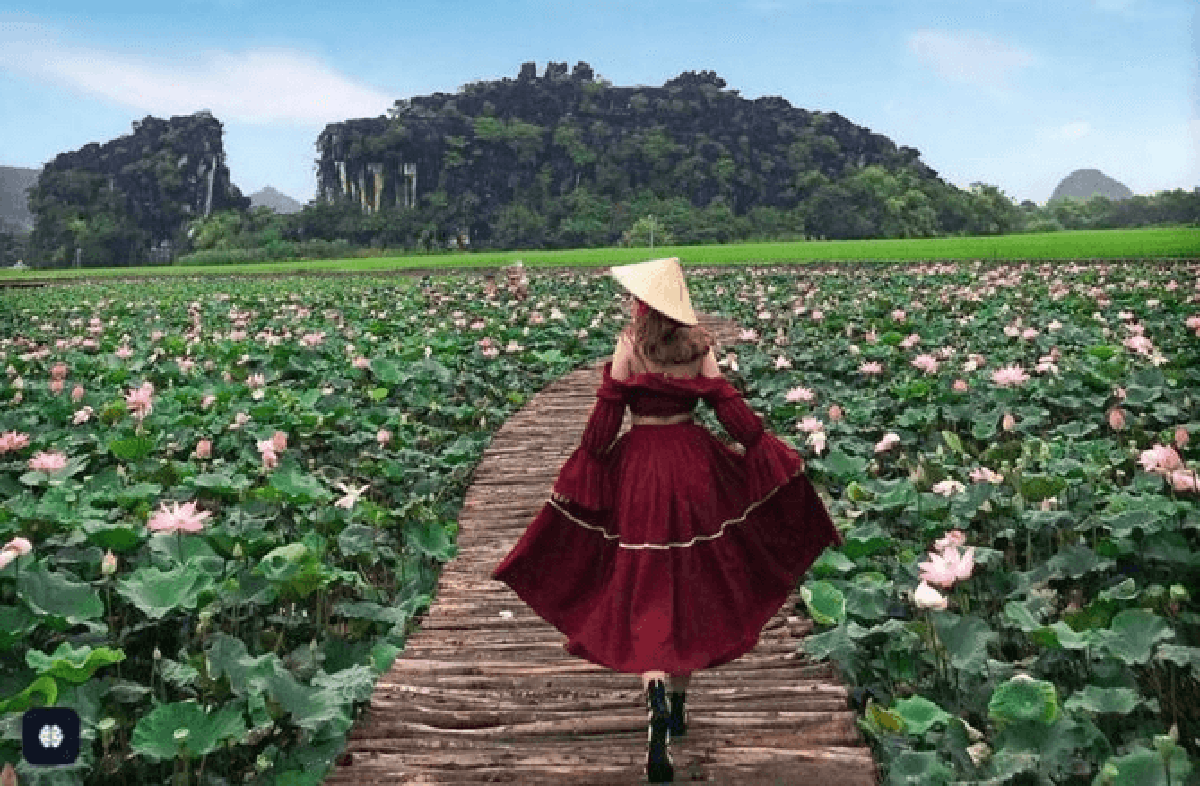 Tỉnh duy nhất ở Việt Nam sở hữu quần thể danh thắng "Hạ Long trên cạn", là di sản hỗn hợp UNESCO duy nhất cả nước: nửa đầu năm 2026 đã hút 17,6 triệu lượt khách, doanh thu 18.000 tỷ đồng