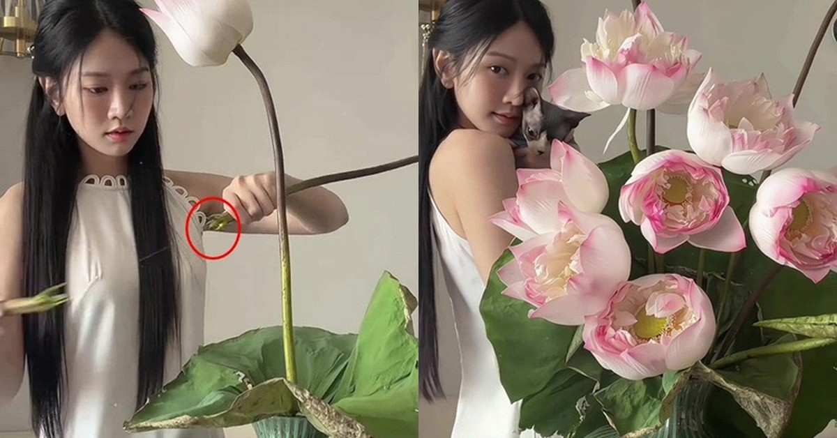 Lê Bống cắm hoa sen “chọc giận” 1 triệu người