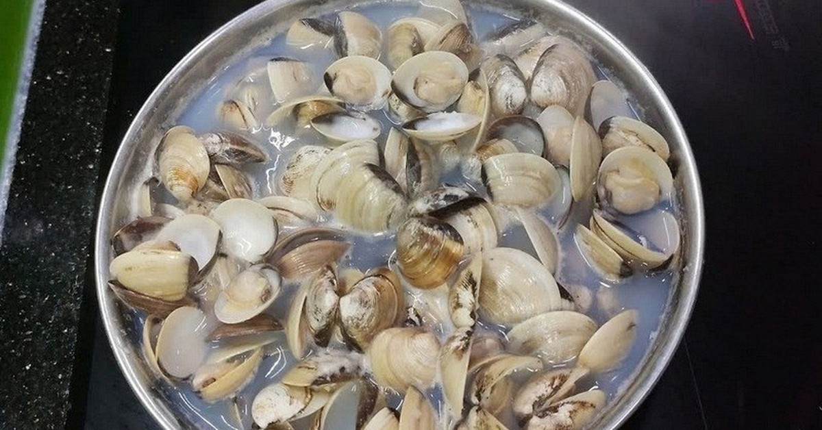 Lời khuyên khi mua ngao ở chợ
