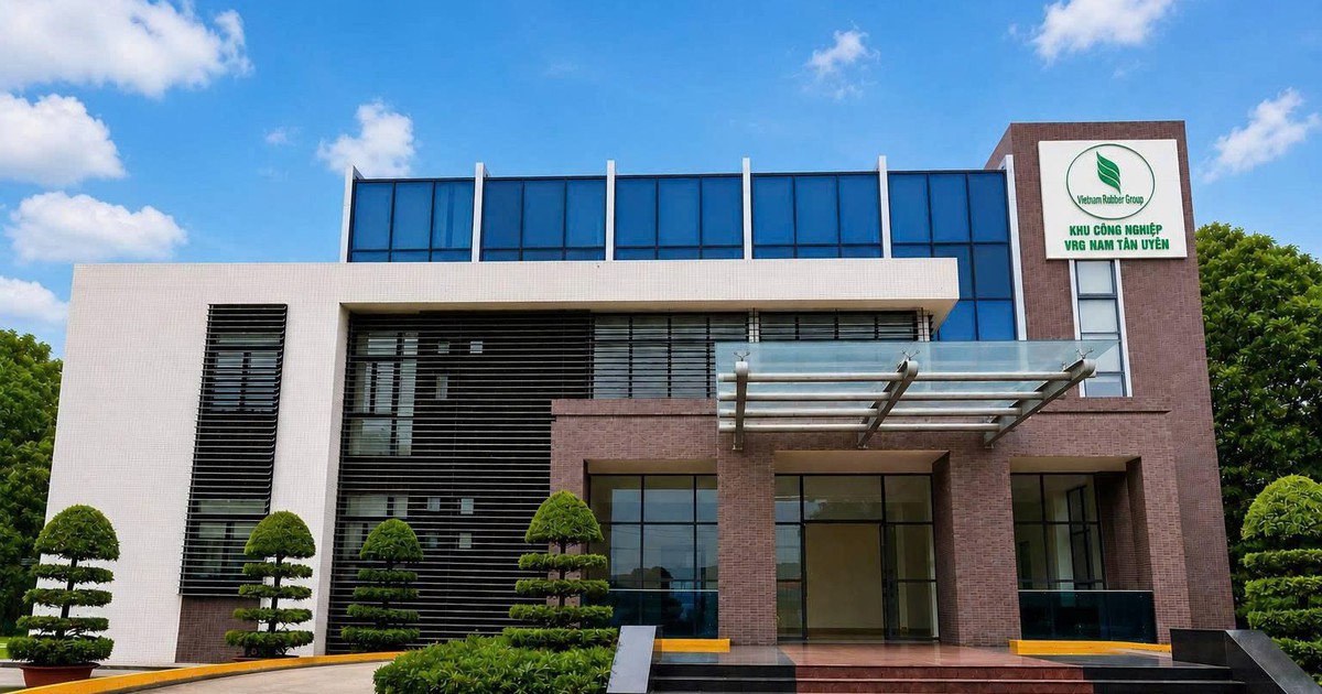 Nam Tân Uyên báo lãi ròng quý II/2026 tăng mạnh nhờ khoản cổ tức được chia