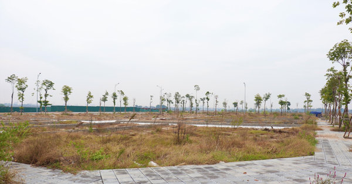 Đấu giá đất đã qua thời kỳ phải mua bằng mọi giá