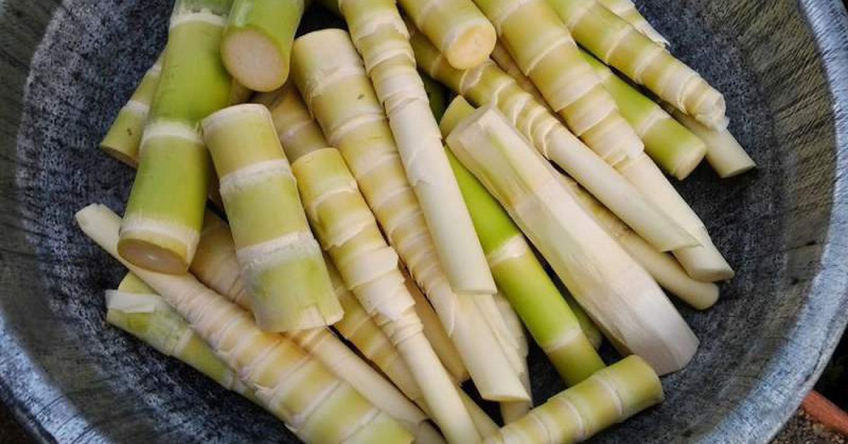Đừng chủ quan với rau củ: 5 loại quen thuộc chứa độc tố tự nhiên, nấu chưa chín kỹ có thể gây ngộ độc