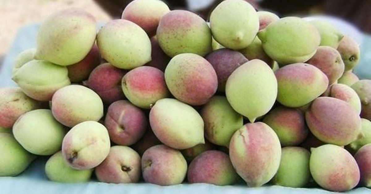 Loại quả "chống viêm tự nhiên", chỉ số đường huyết thấp đang bán đầy chợ Việt: Siêu bổ dưỡng, chuyên gia khuyên nên ăn nhiều