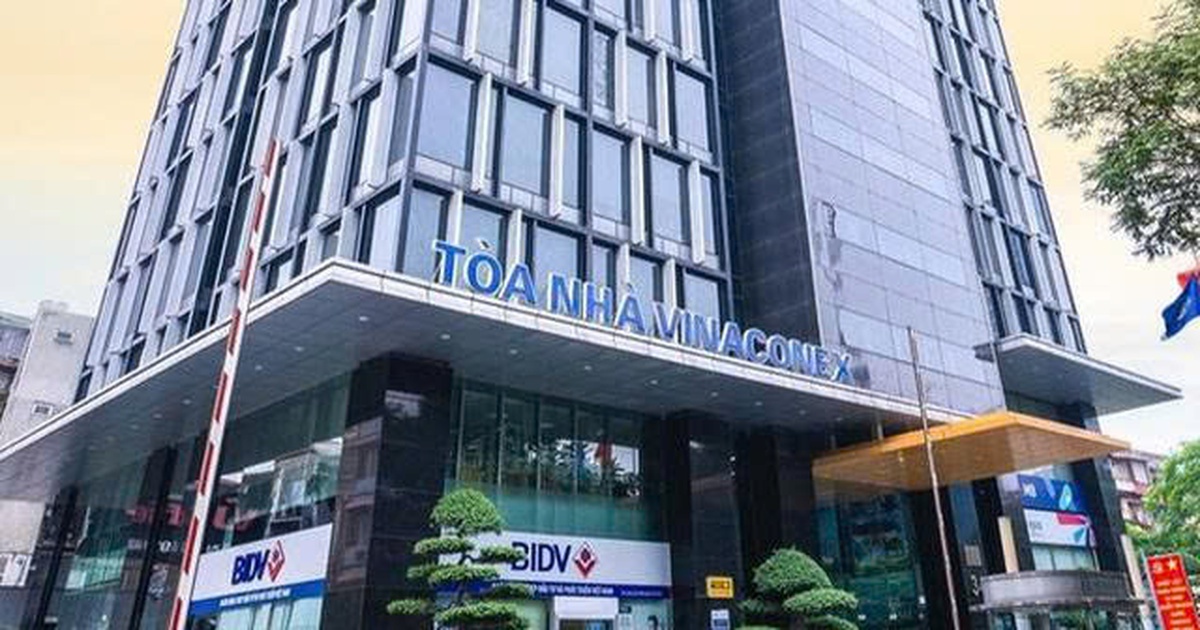 Vinaconex chốt ngày trả cổ tức bằng tiền mặt tỷ lệ 8%