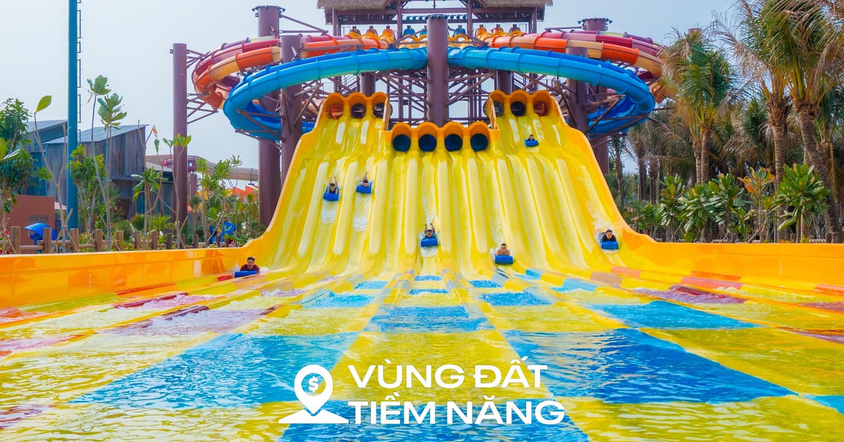 Bài viết