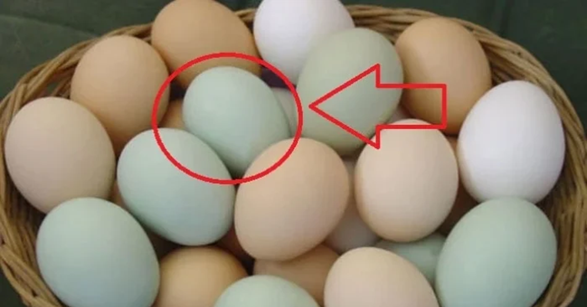 Sự thật về trứng vịt vỏ xanh và vỏ trắng không phải ai cũng biết