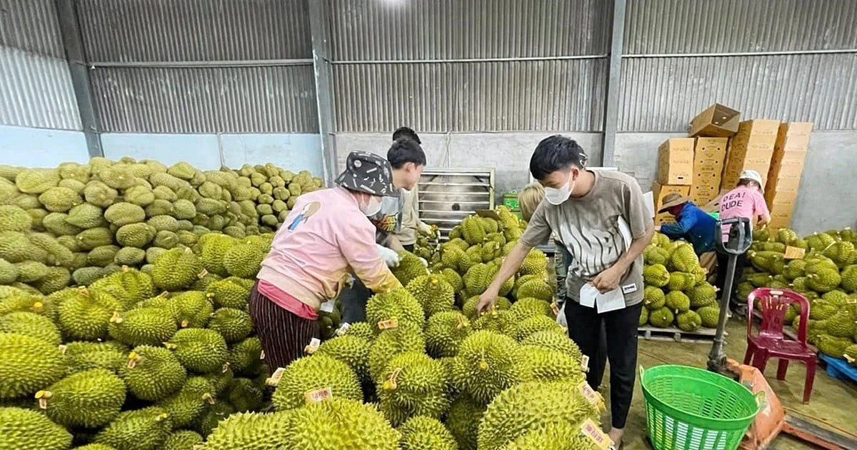 Bài viết