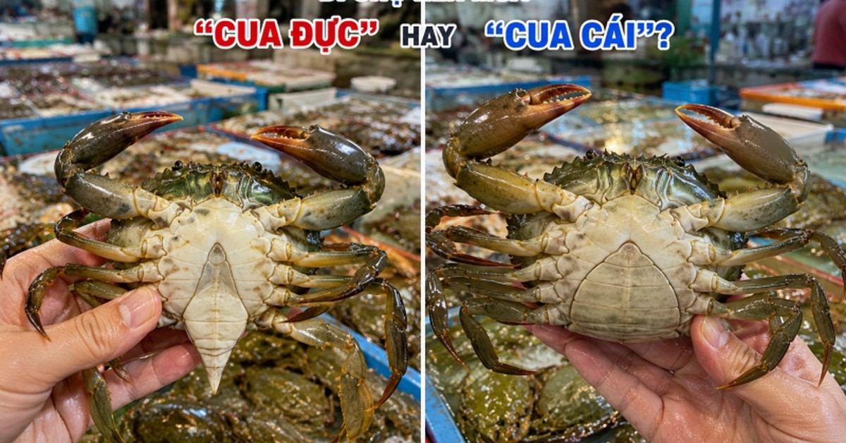 Đi chợ nên mua "cua đực" hay "cua cái"?
