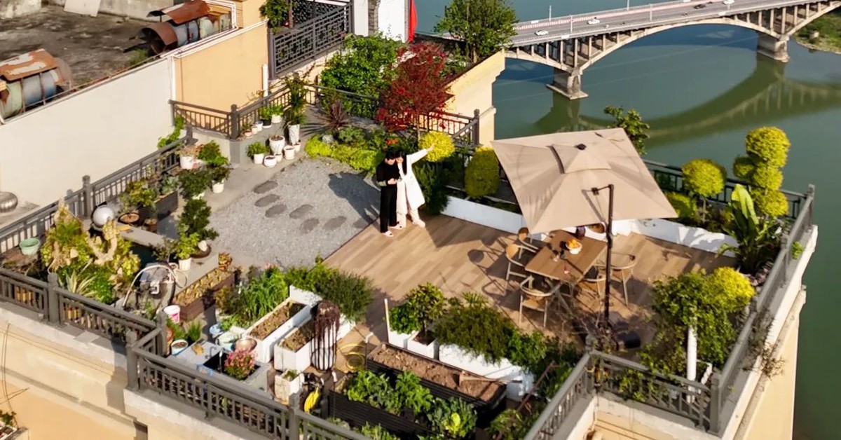 Biến sân thượng tầng 32 của penthouse thành vườn rau, ao cá: Lại 1 tác phẩm kinh điển của "Pháp sư Trung Hoa"