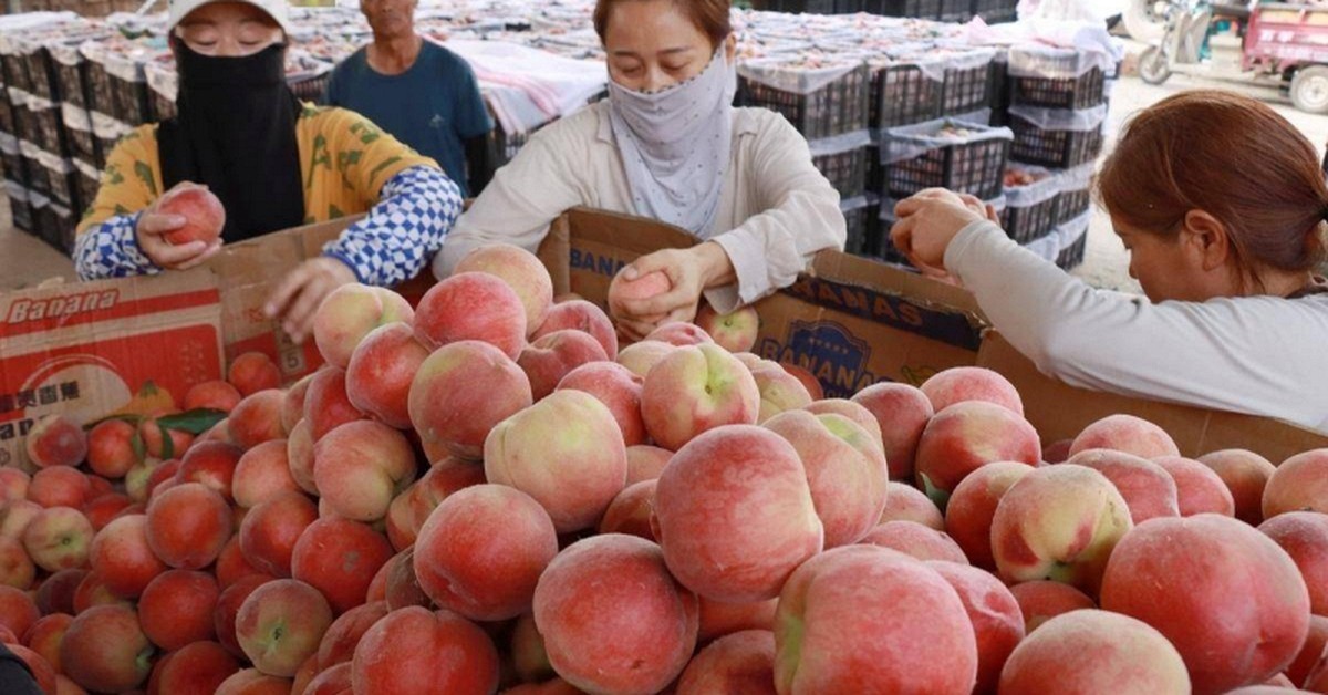 Bé trai làm hỏng 3 quả đào trong siêu thị, cách xử lý của người mẹ được khen "đáng tiền hơn mọi lớp học kỹ năng"