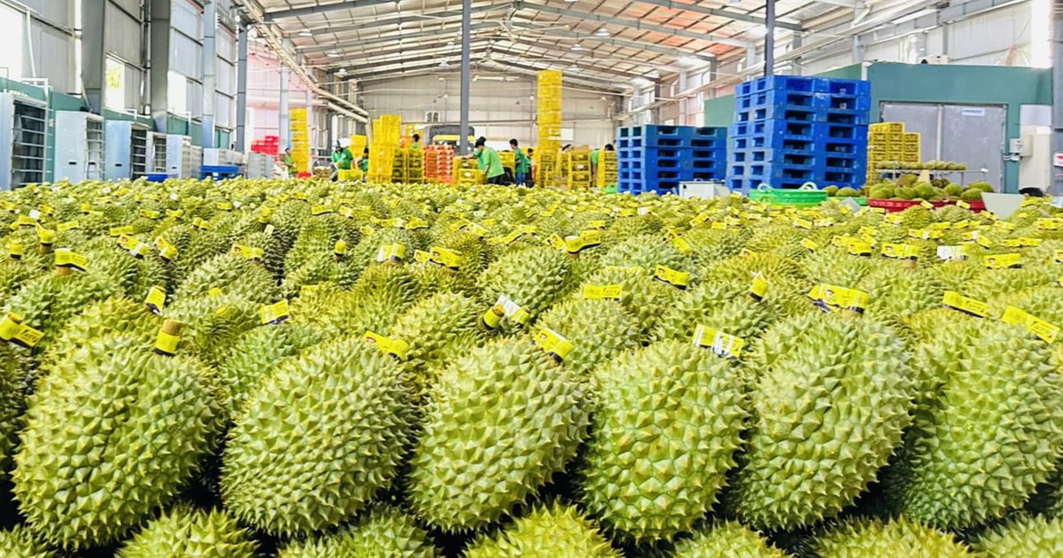 Giá mặt hàng xuất khẩu chủ lực của Việt Nam lao dốc dù Trung Quốc tăng mua