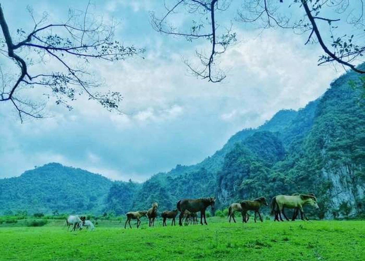 Không phải Sa Pa, đây là nơi được ví như "Mông Cổ thu nhỏ" của Việt Nam: Vừa lọt đề cử tốt nhất thế giới