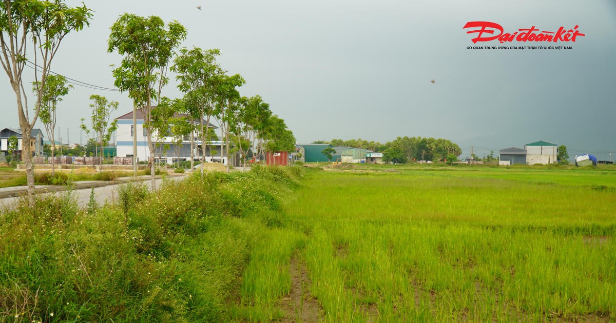 Đấu giá đất nông thôn ở Hà Tĩnh: Vì sao giá khởi điểm lên tới hơn 5,3 tỷ đồng?