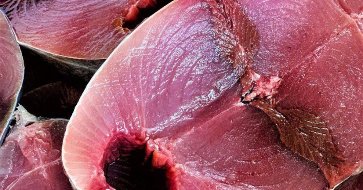 5 loại cá giàu protein bậc nhất